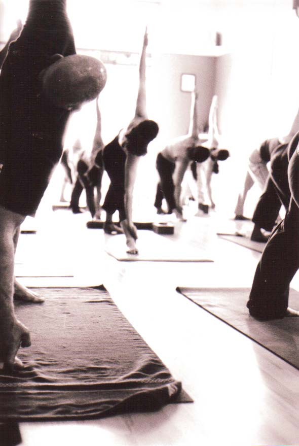 A class of practitioners in warrior pose, viewed from behind the teacher.
